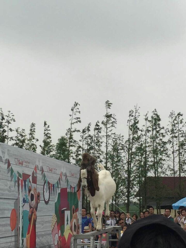 贝斯特 - 全球最奢华的游戏平台