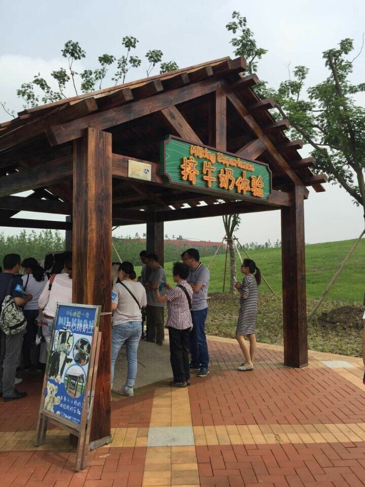 贝斯特 - 全球最奢华的游戏平台