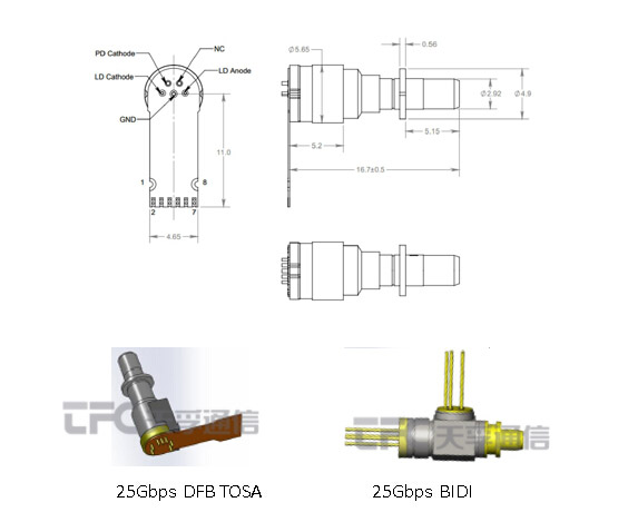 贝斯特 - 全球最奢华的游戏平台
