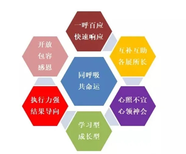 贝斯特 - 全球最奢华的游戏平台