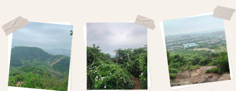 贝斯特 - 全球最奢华的游戏平台